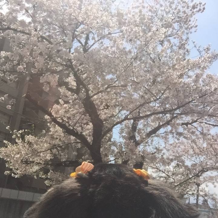 8fad9806 f83b 45a6 8f50 36f25cb50617