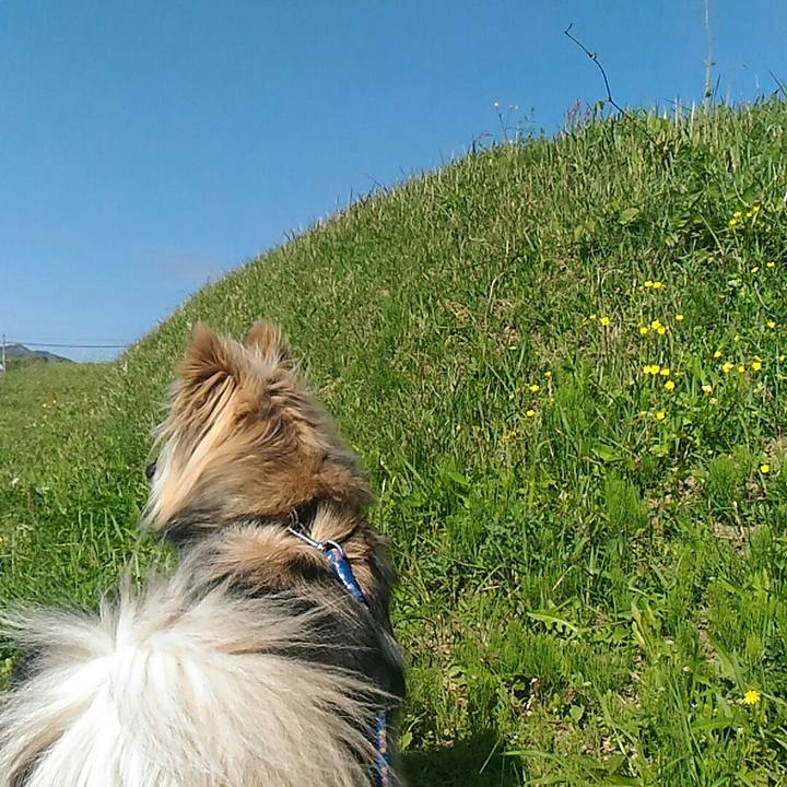 8fad9a41 87ea 478c 9e89 0460dc0fc00e