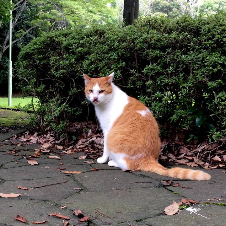 8faf3f8b 7784 46fa 924a fb2f9675d609