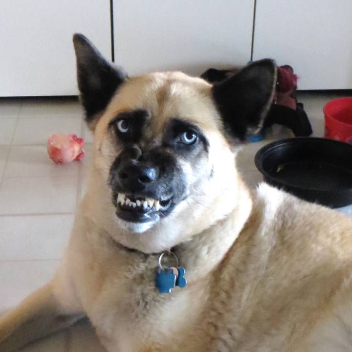 8faf5165 59d1 41a4 8798 4593bb23e3d7