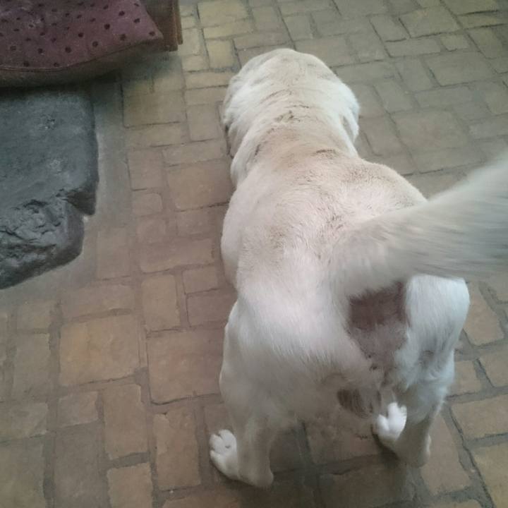 8faf523a 1508 4040 8b62 e79601cd065b