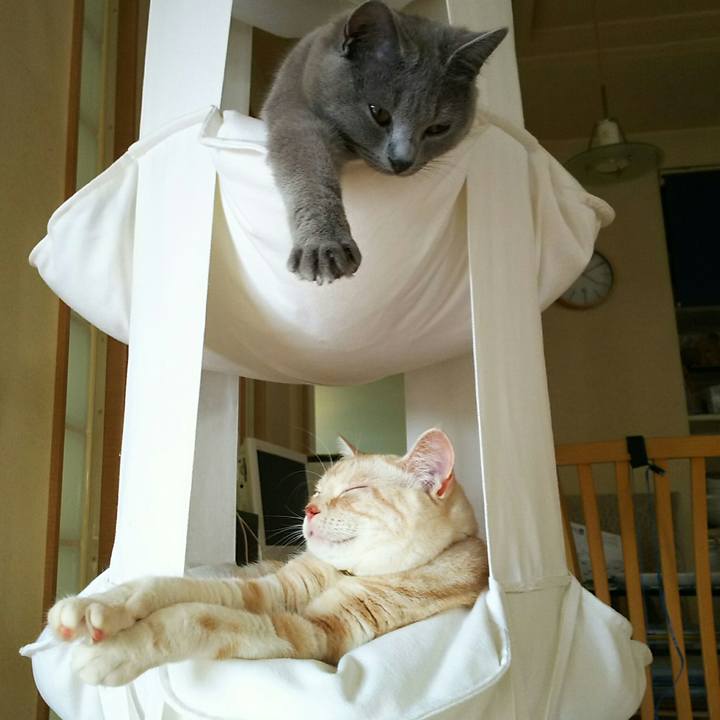 8fafe01c cb6d 4bb9 b3f4 84324e0039ca