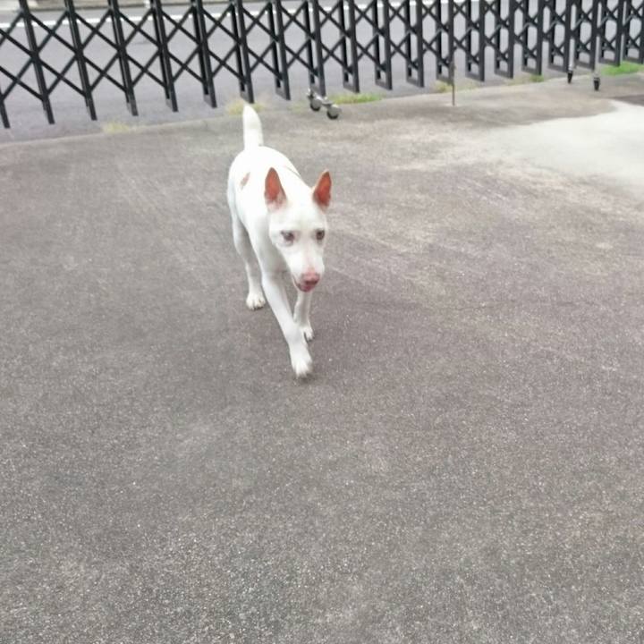 8fb0896f 829d 4802 b19b 7a45a89aa4b3