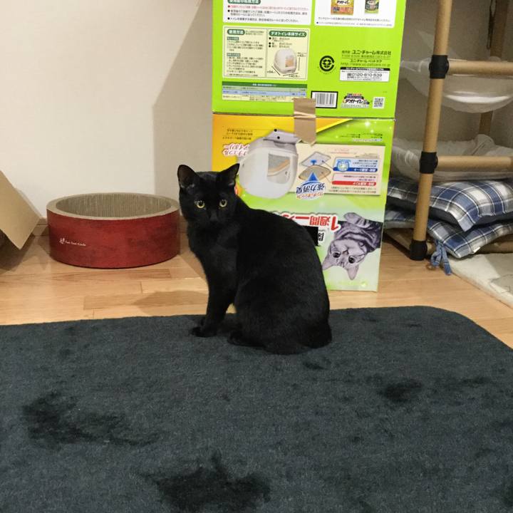 8fb2172e cb22 4c17 8cd3 e0bd093827cf