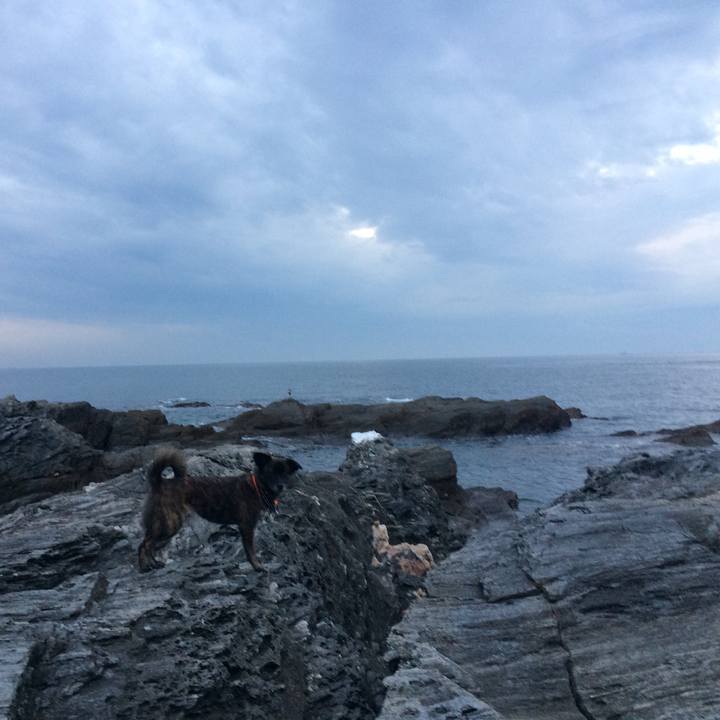 8fb23742 4979 4789 a9d4 500b9037b066