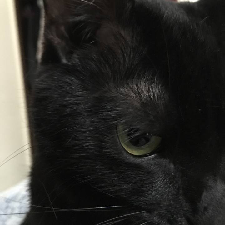 8fb2cc34 12c4 4c99 bb18 1ee5217e4aad