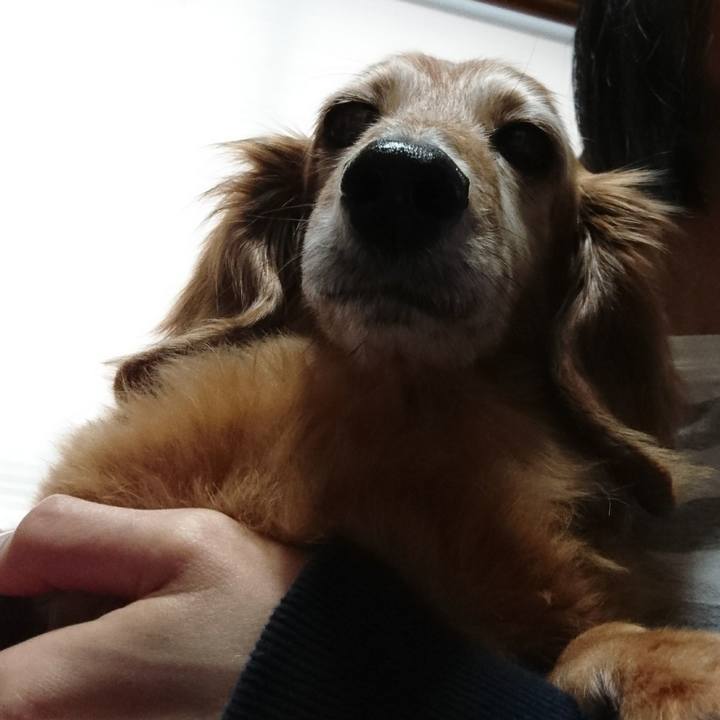 8fb32659 9e53 4c8d acef c37e1514ee2e