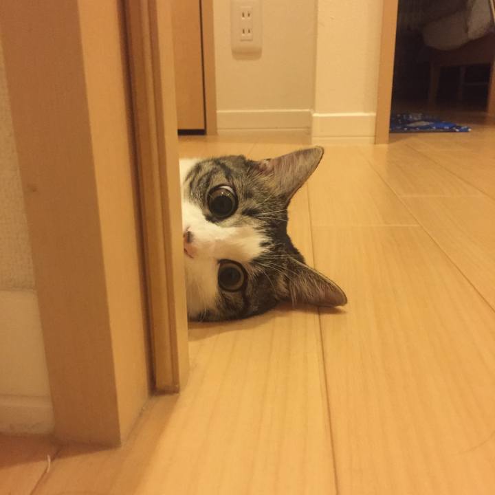 8fb3b122 2d6b 44cc b33e 02421f3b7274