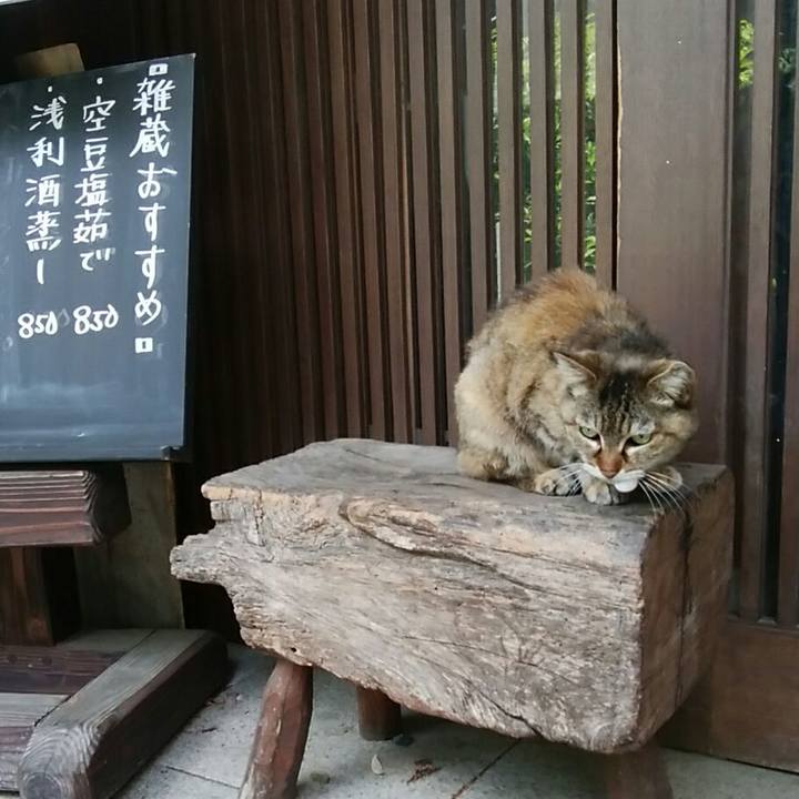 8fb3bdfa 35fb 4426 a715 cdc18683da46