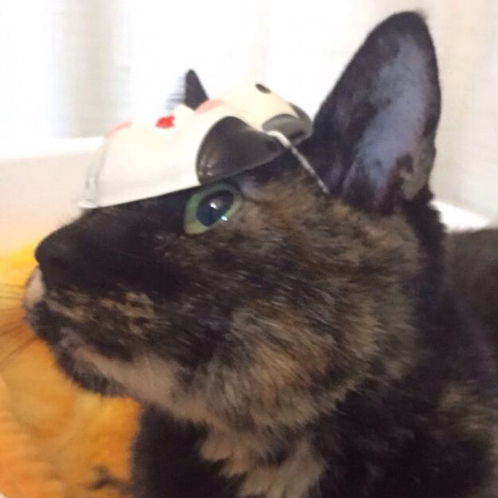 8fb41e79 f6e6 442e 8b6b cc538be0f02f