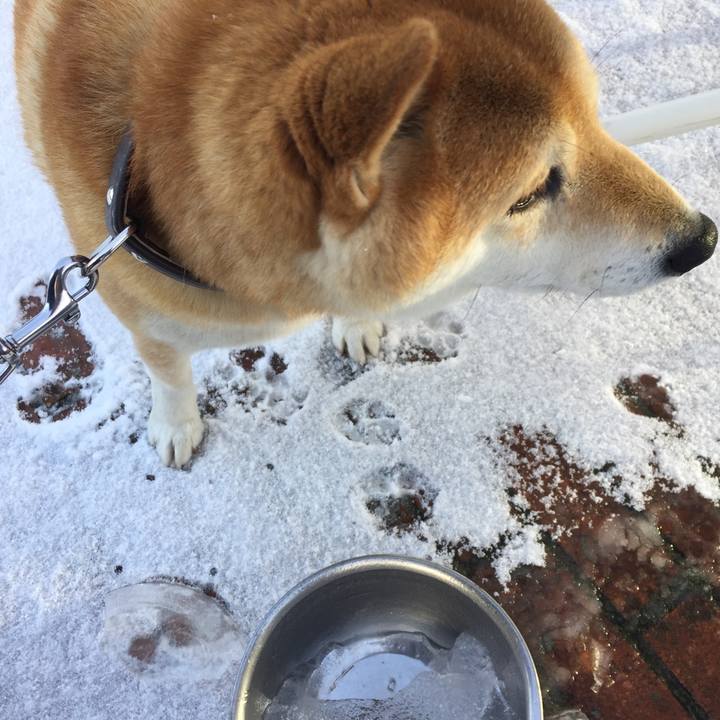 8fb49481 edf3 47b3 a488 85e4dde9c1f3