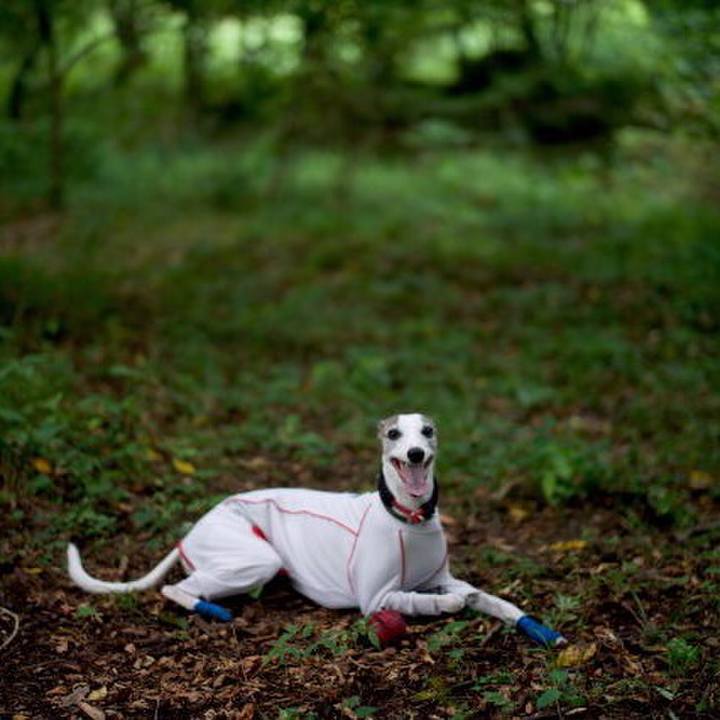 8fb496ea 0d9c 494b 87c3 05614e26f624