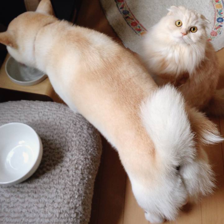 8fb516c1 dc79 4913 a194 c1aaf6a2acd3