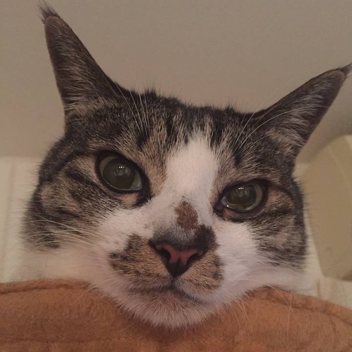 8fb58370 d80e 48d5 9ab3 1d41eb15de5d