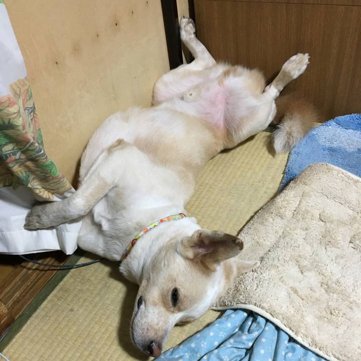 8fb58b7b 6ae7 4a9d 9767 79acbe8c01ba