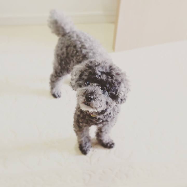 8fb59eaf eca2 4a2a a26a 4b9d26706381