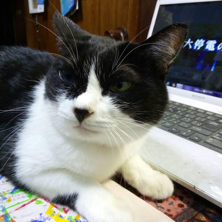 8fb67562 b278 4d69 931e 51fc15138790