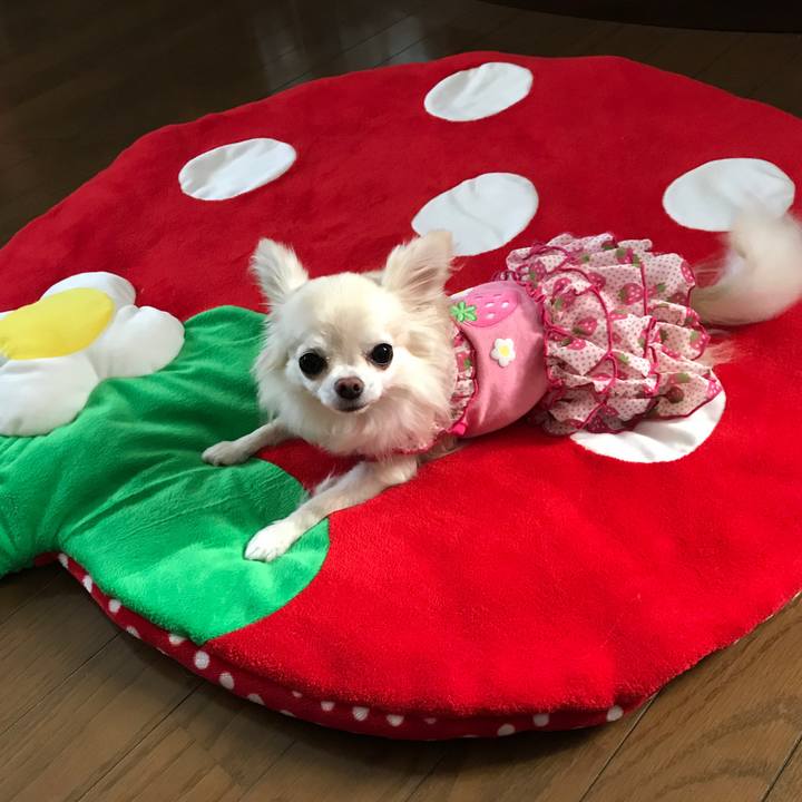 8fb69a07 a13f 48f5 adee a3ece98f0ac3