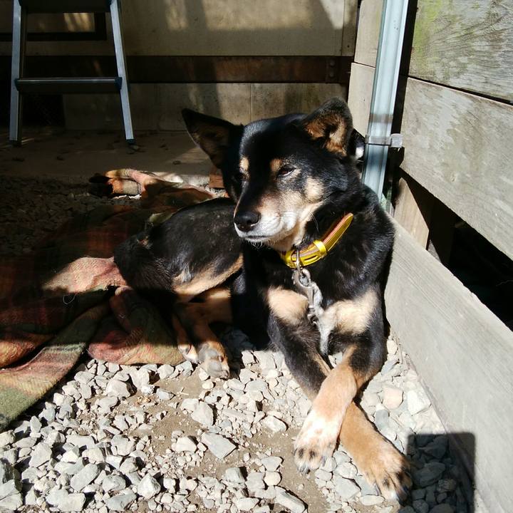 8fb6b56e 6882 443a a695 8e9c6210bdd0