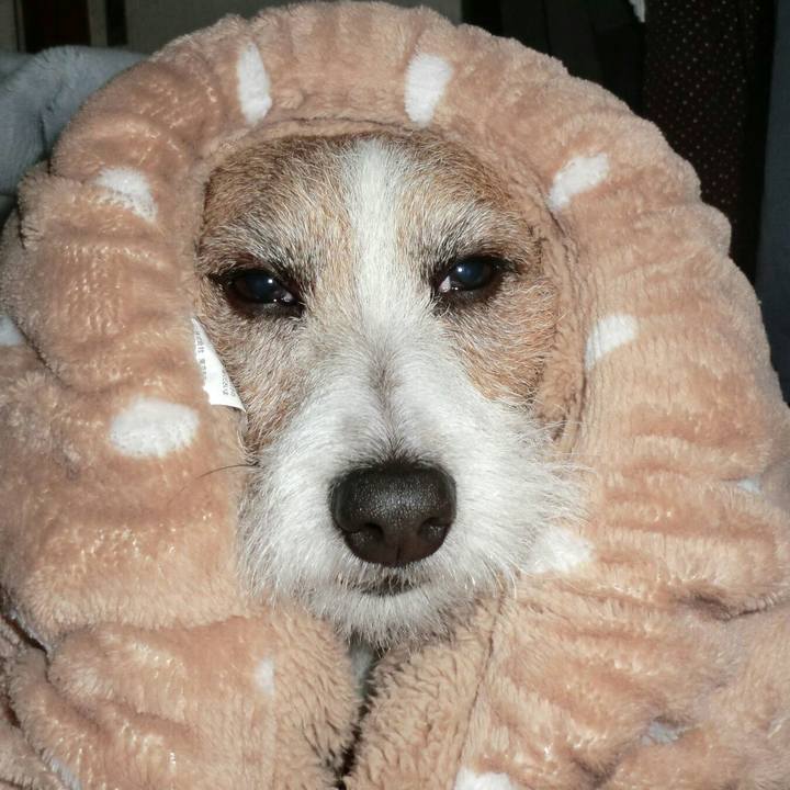 8fb70523 c986 497e 87c8 6a729464556b