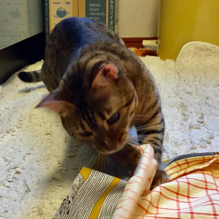 8fb73ed3 c700 4220 b458 901cd430f83a