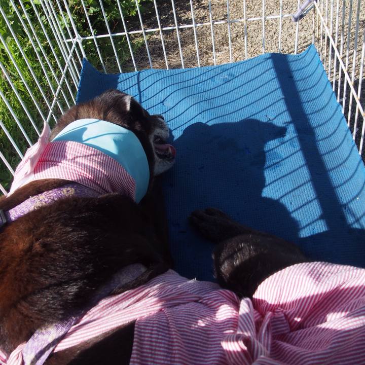 8fb7d8b1 7261 46db b3e3 c96e90f22a66