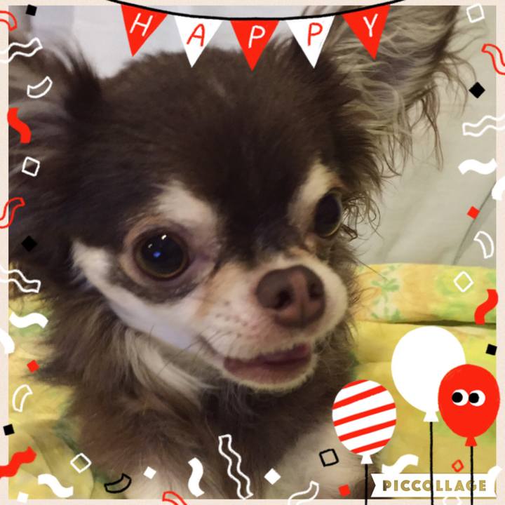 8fb80b32 6e44 4fb7 843b 586efc666423