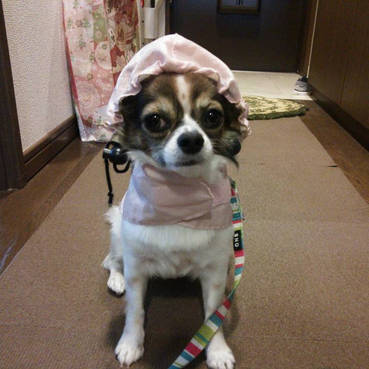 8fb853b1 6063 4026 ba7a b92334b1ea57