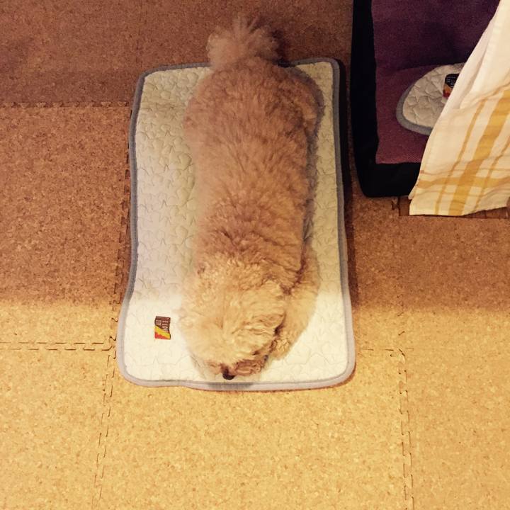 8fb90d6a 46ad 46a6 bfe8 b427fbead54e