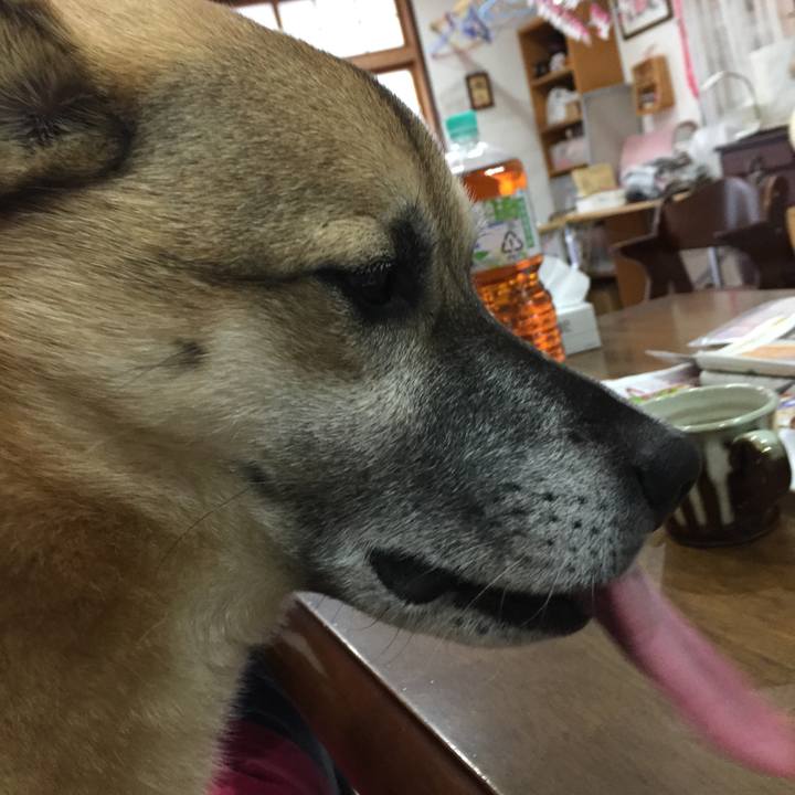 8fb96165 1ba9 4dd4 a245 66ef4107e5ca