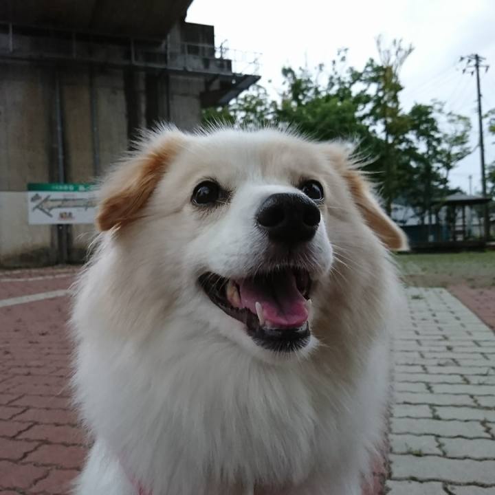 8fb98f09 be6b 4296 92cc ccfdc8d15e3c