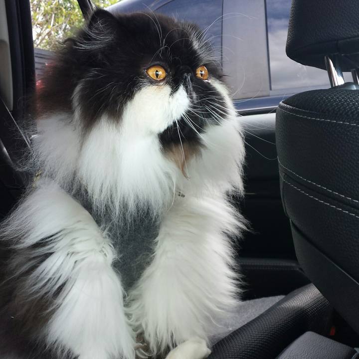 8fba3ce4 1df0 4aa4 9c0b 21cd10123543