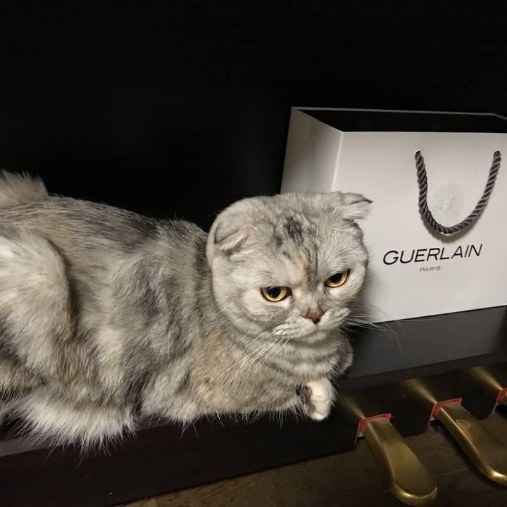 8fba4588 fe4e 49d1 a19f f3a30bcf3ac2