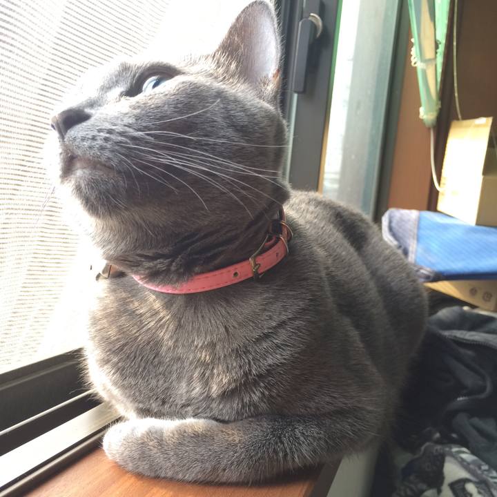 8fba9aef f3de 4170 818f 40686e9a4395