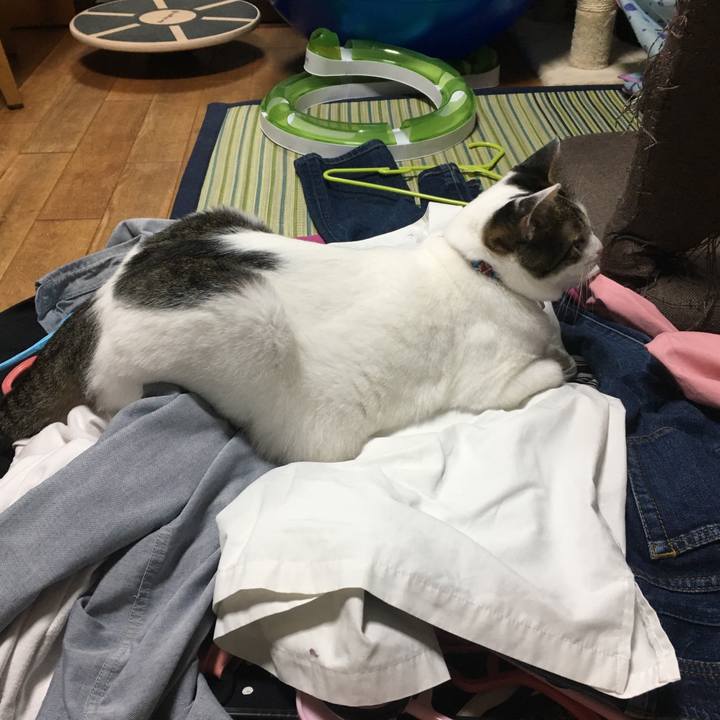 8fbaaca7 72f9 4ee1 9b46 f436baf6a478