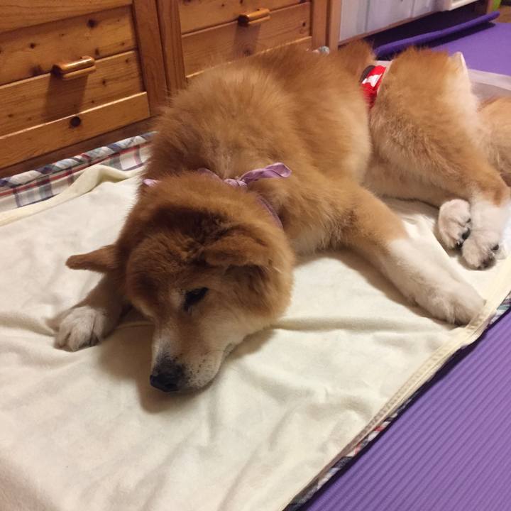 8fbaadc0 2d0f 4355 9cad 9caf3e4eed7b