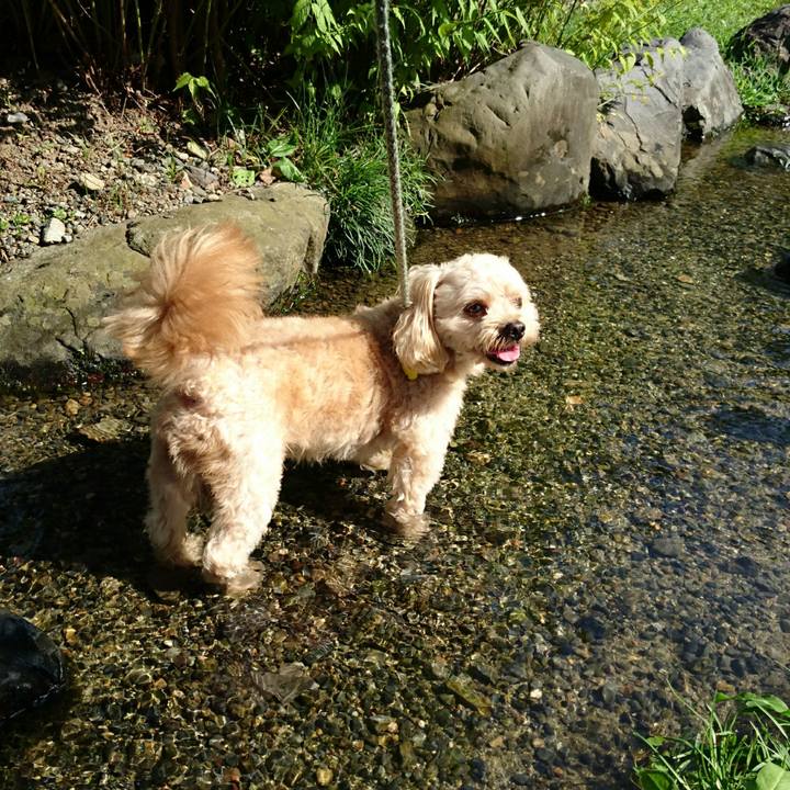 8fbab449 f8ba 49be 80f4 f1845f4694b8