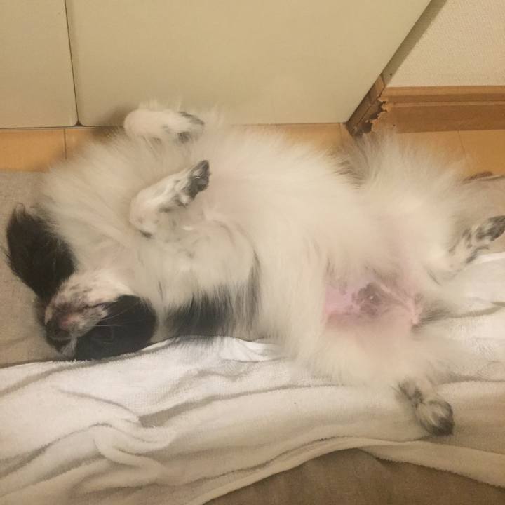 8fbd1ef1 ab50 4244 9270 f553d3dbbb24