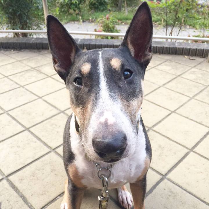 8fbd25be 5253 4e75 ae40 17602ef20ee7