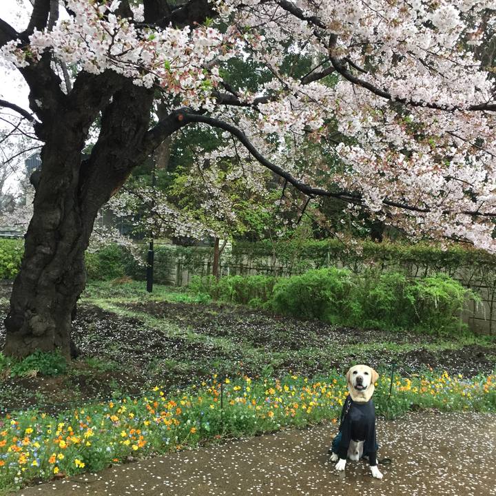 8fbdd779 95e8 4652 8efb 67784e7fc3a0