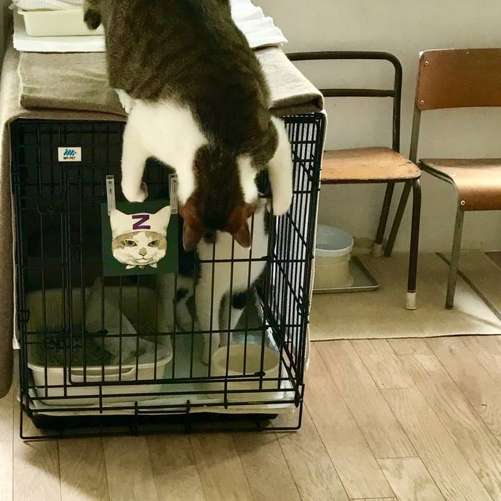 8fbebb90 e2a7 47ca 8ab4 01b33dfc9474