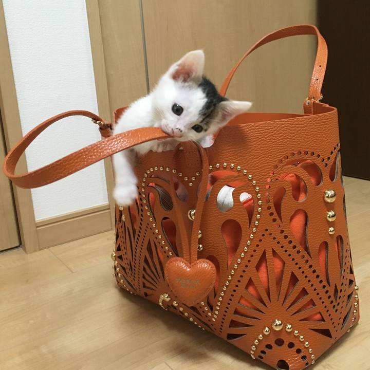 8fbedcb2 7f15 483d afa0 a654f3fe7d9f