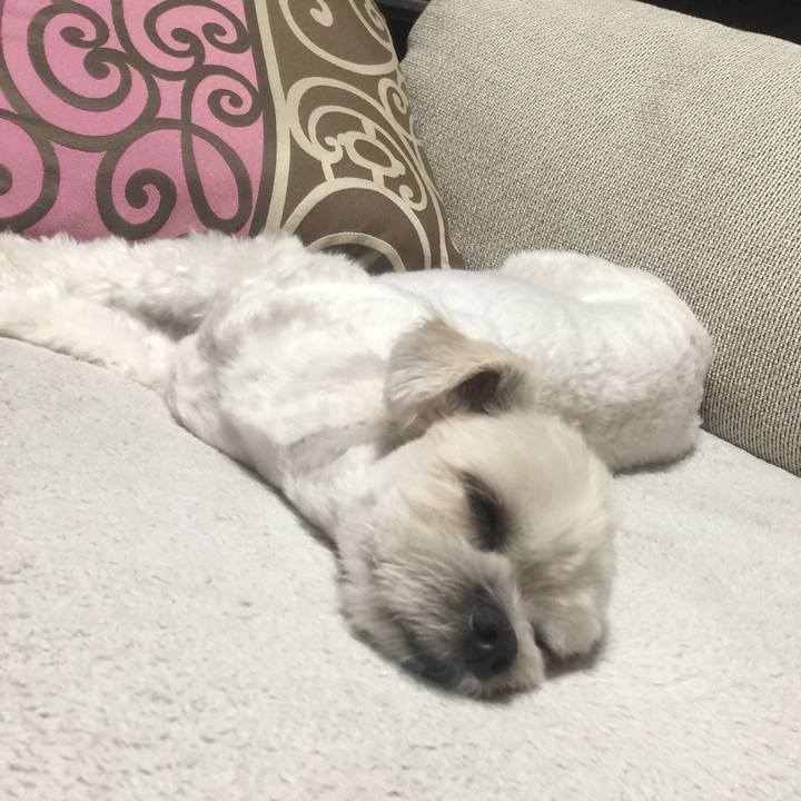 8fbf06ca 14d2 4084 9400 ae683a16832f