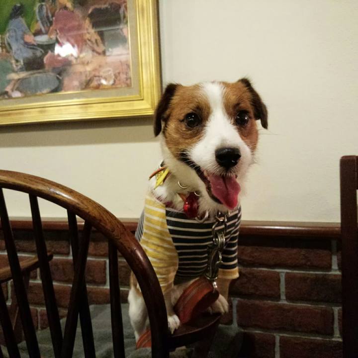 8fbf5897 c281 405a bf94 cad79f3f064d