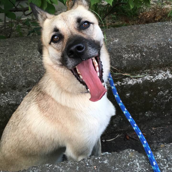 8fbf6c96 06b0 4fbb 96fd 61bd3ba37325