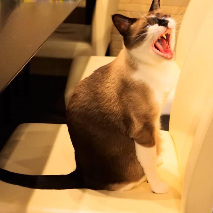 8fbfdaec 307f 4861 888f a4ab678dd978