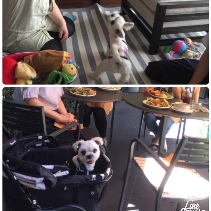 8fc04950 490e 4c15 b8fd fca4a0cfa831