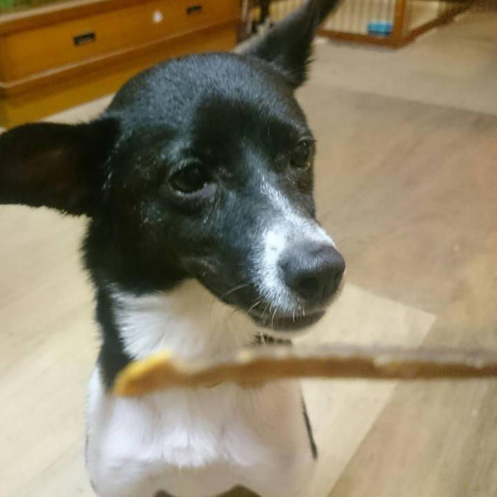 8fc07e3a f4df 46e2 8bfa 9101b37180ed