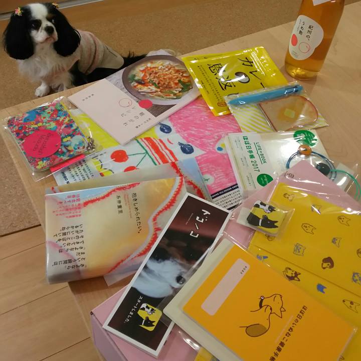 8fc098d6 2d69 48f7 a86d c0cecc45c7a6