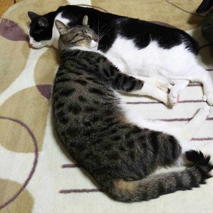 8fc116f9 e4ef 4c14 932d b360318703d1